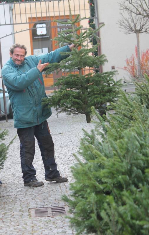 Prodejci stromků již netrpělivě vyhlížejí zákazníky.