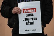 Týrání na jatkách v Hraběticích řešil v březnu Okresní soud ve Znojmě. Na problematiku upozornili ještě před jednáním aktivisté.