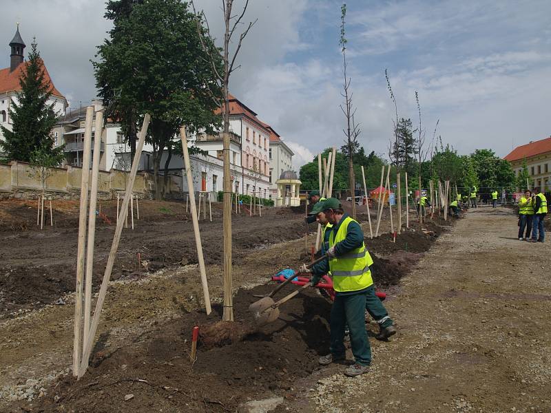 Nové aleje tulipánovníků a javorů vysázeli o víkendu zaměstnanci znojemské Městské zeleně a lidé, kteří si sedmnáct tulipánovníků a čtyřiatřicet javorů adoptovali. 