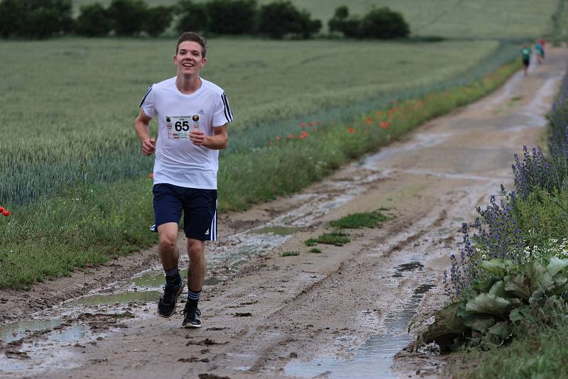 Po třech měsících pokračoval třetí červnovou sobotu Znojemský běžecký pohár. Sportovci závodili na únanovském Pohoda Runu.