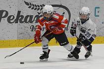 Ve Znojmě se o víkendu uskutečnil Nevoga Cup 2024. Turnaj byl určen nejmenším hokejistům.