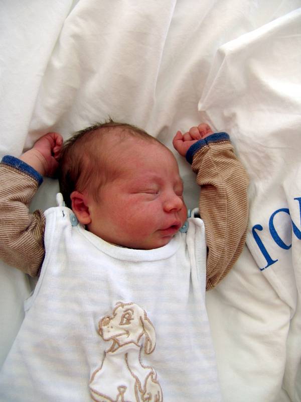 David Těšík, 53 cm, 3990 g, 12. 8. 2012, Znojmo