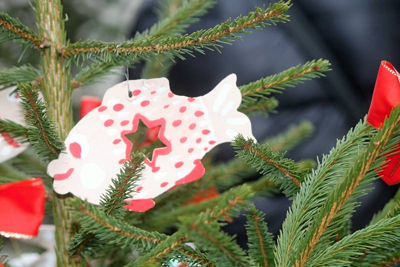 Děti a učitelky ze znojemských mateřských škol zdobily v pátek vánoční stromky, které lemují Obrokovu ulici.