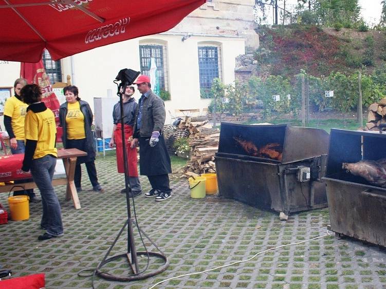 Kromě burčáku mohli lidé v Louckém klášteře v jednom ze štukových sálů ochutnat i víno.