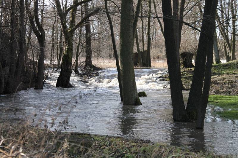 Obleva rozvodnila potok Blatnice v Korolupech. Při povodních v roce 2006 se voda z něj dostala i do objektů v jeho blízkosti.