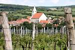 Silné úterní krupobití poškodilo vinice u Hnanic a Šatova. Zasaženy byly silně i vinohrady Vinařství Kořínek, škody jsou podle Josefa Kořínka vážné.