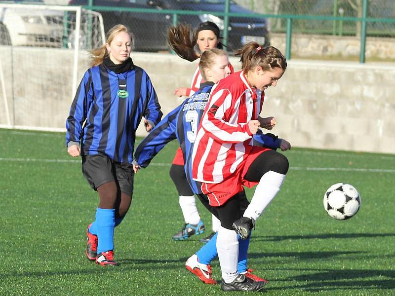 Fotbalistky Jevišovic a Tasovic si užily silvestrovský zápas.