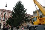 Na znojemské Masarykovo náměstí v pátek dopoledne dorazil vánoční strom. Sedmnáctimetrový smrk městu darovala Dlouhá Brtnice.