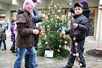 Děti ze znojemských mateřských a základních škol zdobily vánoční stromečky na Obrokové ulici v centru města.