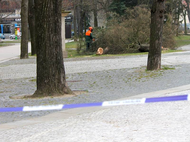 Motorové pily dělníků a kácení jednadvaceti stromů uzavřely ve středu Horní park ve Znojmě. 