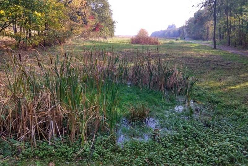 Nový leták přibližuje rybníky v Národním parku Podyjí.