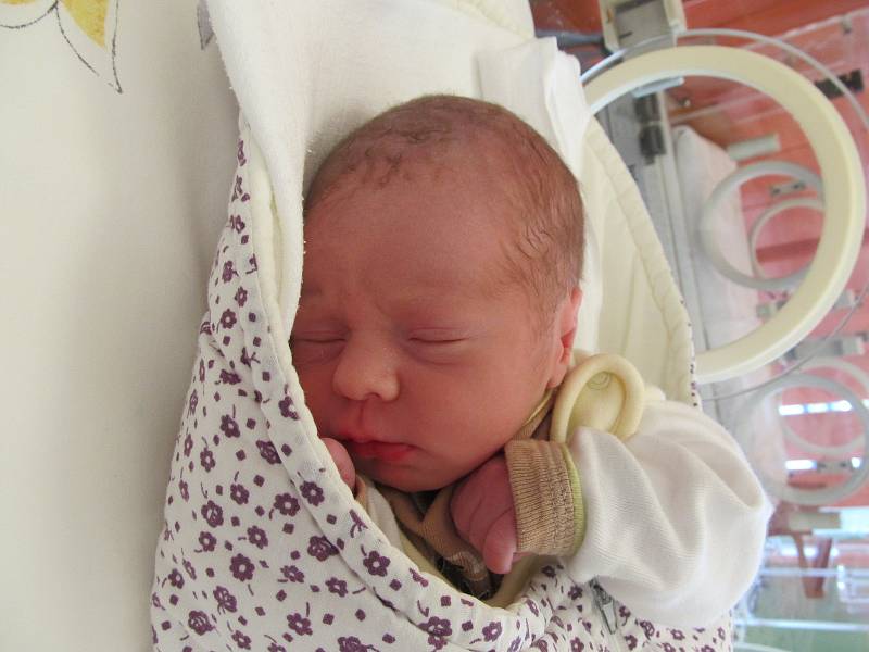 David Kuchařík, 16.6., 48 cm, 2490 g, Hevlín