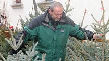 Až do Štědrého dne nabízejí zákazníkům prodejci v regionu vánoční stromky.