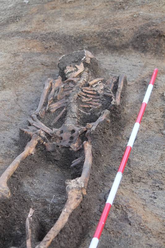 Tři velkomoravské hroby odhalily práce na stavbě nové silnice na znojemském Hradišti.  Záchranné práce tam provádí tým pod vedením archeologa Davida Humpoly ze znojemského pracoviště brněnského Ústavu archeologické památkové péče.