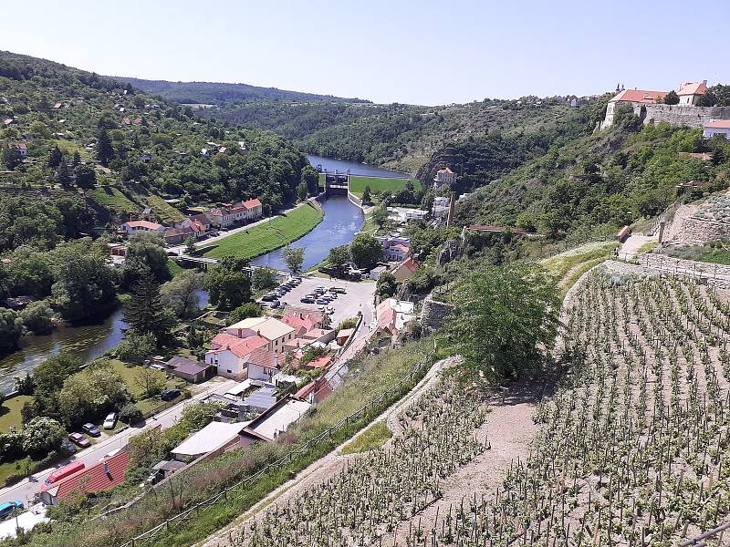 Degustační stánek v Rajské vinice ve Znojmě první červnový víkend. V červnu je otevřeno od jedenácti do sedmi hodin, o prázdninách pak do osmi.