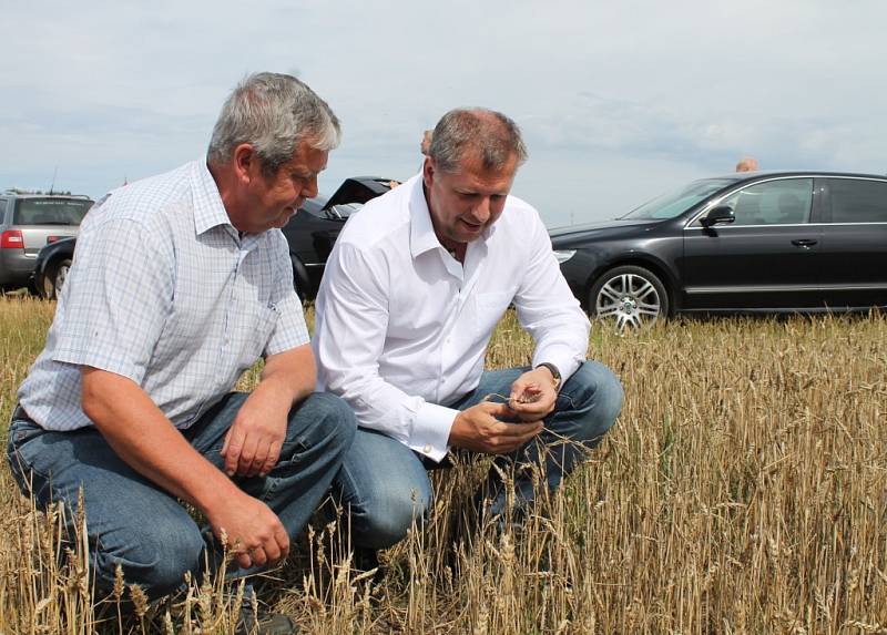 Ministr zemědělství Petr Bendl se ve čtvrtek 19.7.2012 přijel na Znojemsko osobně přesvědčit o důsledcích sucha na zemědělské plodiny. Na snímku u Trstěnic na Miroslavsku s hlavním agronomem Agroservisu Višňové Miroslavem Kuchaříkem.