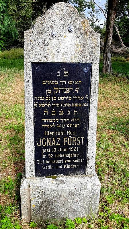 Procházka židovským hřbitovem v Šafově.