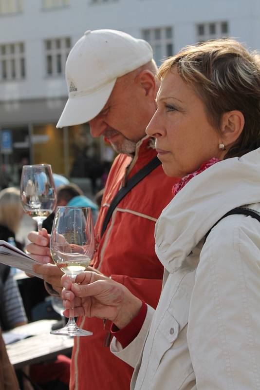 Výstava vín nominovaných za znojemskou podoblast do Národní souteže vín spojená s degustací.