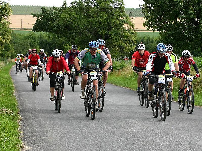 12. ročník cyklistického závodu Vinařská 50.