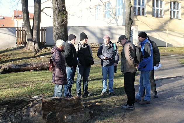 U poraženého stromu, ve kterém zimovali netopýři, se v pátek odpoledne sešli odborníci z české inspekce životního prostředí.