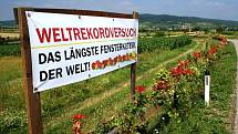 Obyvatelé rakouského příhraničního Retzbachu se poslední červencový den pokusí o zápis do světové Guinessovy knihy rekordů svým 1,2 kilometru dlouhým květinovým truhlíkem spojujícím dvě části obce.