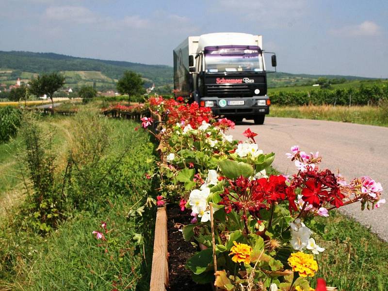 Obyvatelé rakouského příhraničního Retzbachu se poslední červencový den pokusí o zápis do světové Guinessovy knihy rekordů svým 1,2 kilometru dlouhým květinovým truhlíkem spojujícím dvě části obce.