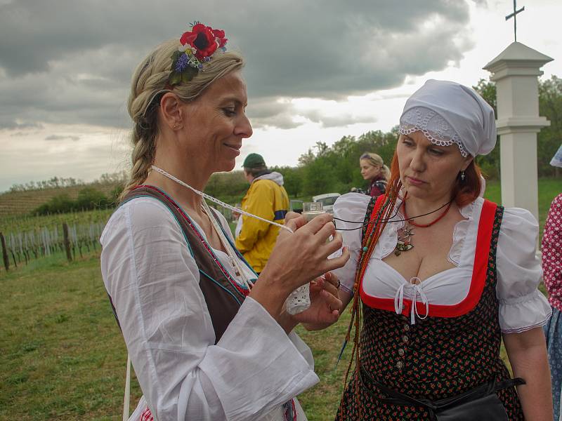 Tradiční vynášení Hroznového kozla ze Znojma do vinic u Konic opět přilákalo víc než stovku účastníků.