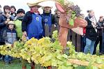 Cech vinařů Vrbovec pořádal vinobraní. Vinaři slavnostně pomleli letošní poslední hrozny a uložili hroznového kozla na zimu.