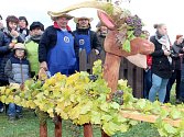 Cech vinařů Vrbovec pořádal vinobraní. Vinaři slavnostně pomleli letošní poslední hrozny a uložili hroznového kozla na zimu.