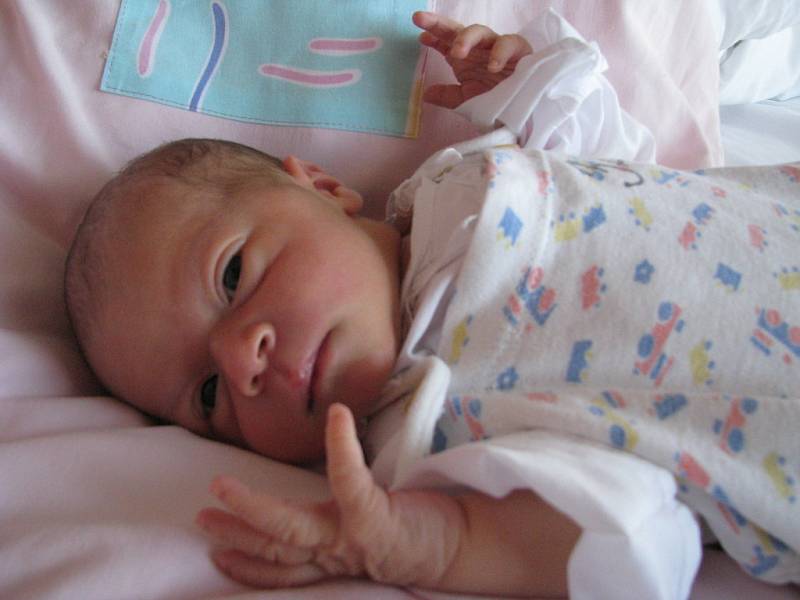 Vanesa Svobodová, 48cm, 3160g, 17.6.2008, Znojmo