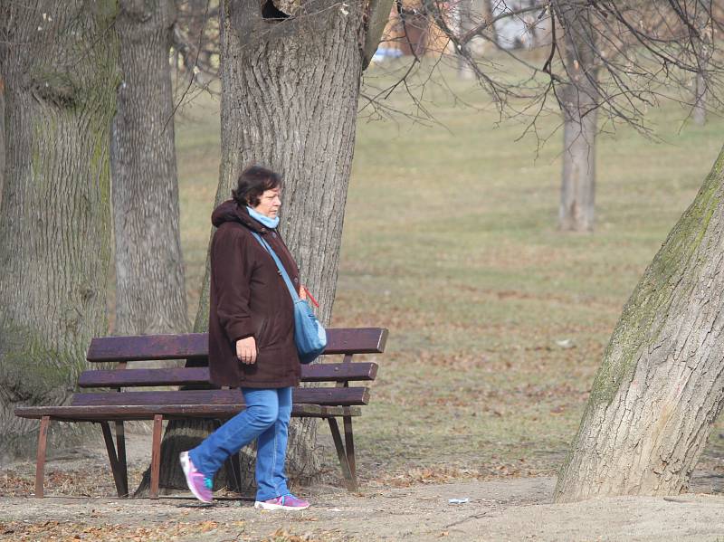 Park u Louckého kláštera plánuje společně se sousedními plochami blízko řeky Dyje a náhonu u Vránova mlýna revitalizovat vedení Znojma.