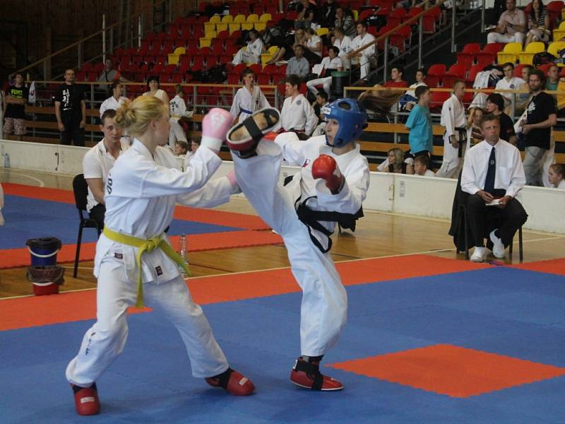 Znojemská sportovní hala přivítala v sobotu další mezinárodní turnaj v bojovém umění Taekwon-Do I.T.F. nazvaný Znojmo open.