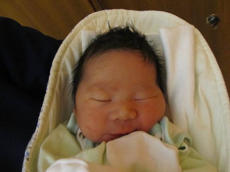 Tran Tuan Duy, 8.3., 50 cm, 3530g, Znojmo