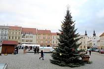 Znojmo má také letos dva vánoční stromy na svých náměstích. Na Horním náměstí chybí ale ledová plocha pro bruslení. Stánky vystřídají Voňavá okénka místních podniků.