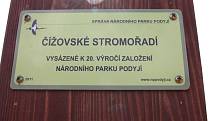 Netradiční akci sázení téměř dvou desítek tradičních odrůd ovocných stromů do stromořadí u Čížova se rozhodli pracovníci Národního parku Podyjí. 