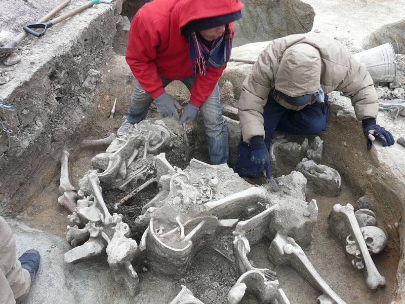 Archeologové poodkryli ponurou minulost znojemského Horního náměstí