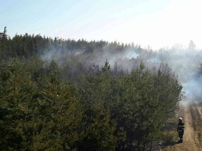 Mezi Pavlicemi a Vranovskou Vsí vzplálo sedm hektarů lesa.