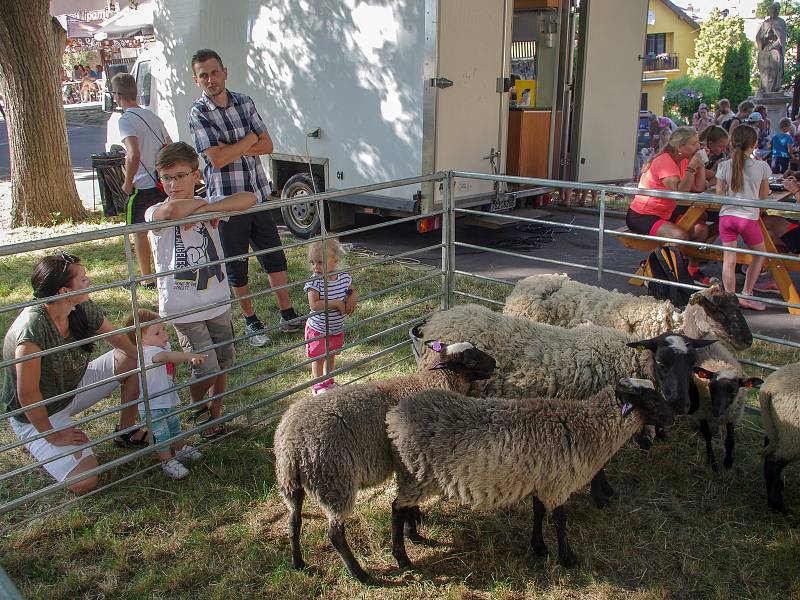 V pátek před hlavní poutí připravili pořadatelé v Mašůvkách druhý ročník řemeslného jarmarku.