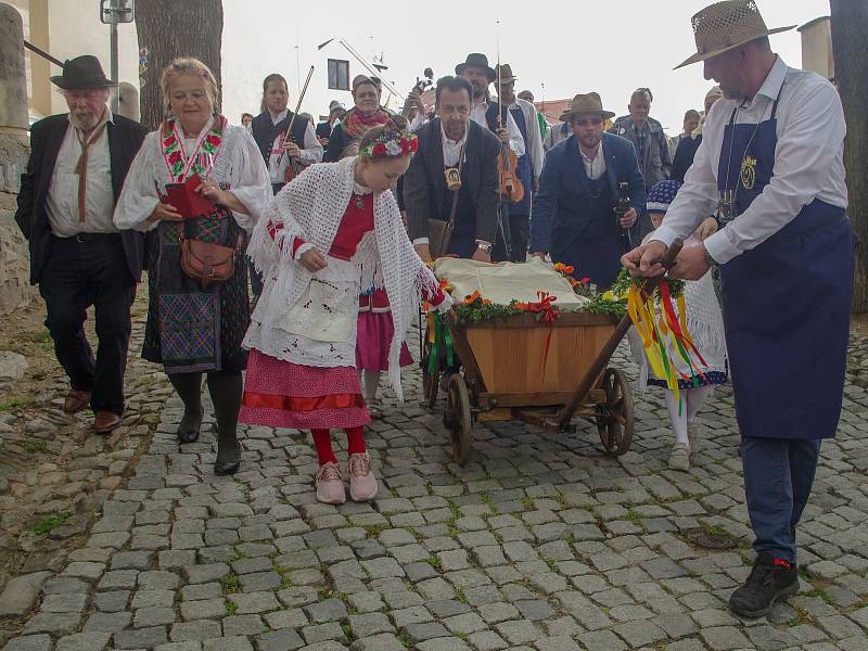 Tradiční vynášení Hroznového kozla ze Znojma do vinic u Konic opět přilákalo víc než stovku účastníků.