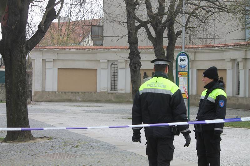 Motorové pily dělníků a kácení jednadvaceti stromů uzavřely ve středu Horní park ve Znojmě. 