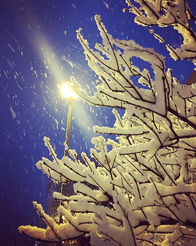 Ze sněhové nadílky na Znojemsku 9. prosince.