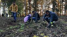 Dvě stovky dobrovolníků přišly vysázet 11 500 mladých stromků v Mramoticích.