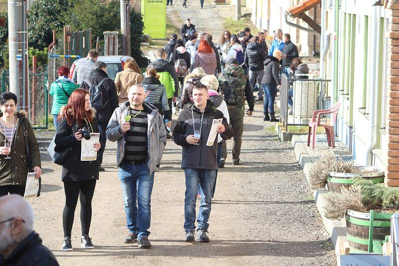 Prolnutí masopustního veselí a Putování po sklípcích zažili o víkendu obyvatelé a návštěvníci Dobšic.