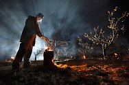 Sadař zahřívá meruňkový sad ve Velkých Pavlovicích, ilustrační foto.