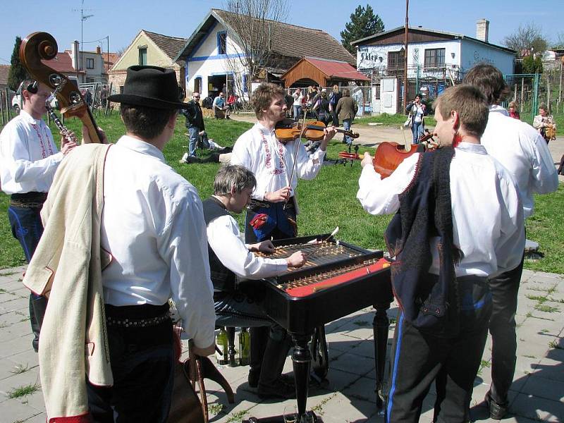 Festival otevřených sklepů na Znojemsku.