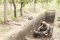 Archeologové provádí záchranný výzkum ve vinici Šobes.