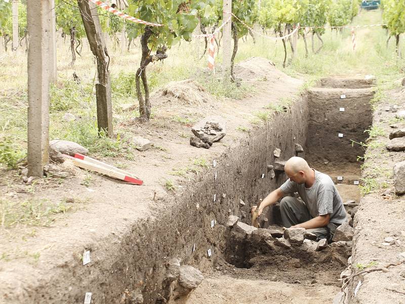 Archeologové provádí záchranný výzkum ve vinici Šobes.