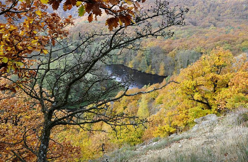 Národní park Podyjí, pohled na řeku Dyji z vyhlídky od vinice Šobes.