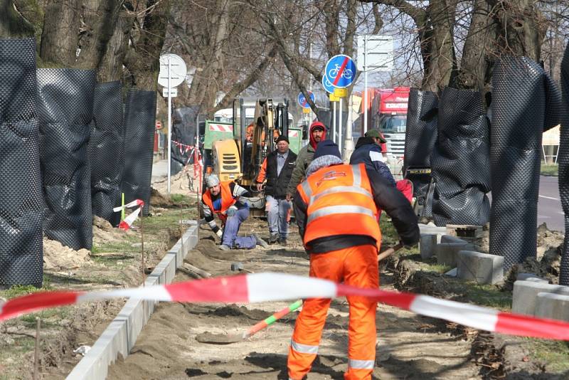 V části ulice Pražská ve Znojmě budují dělníci novou cyklostezku. Mezi lípami u budovy policie.