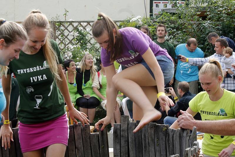 Jedenáctý ročník Burčákfestu v areálu Louckého kláštera ve Znojmě.